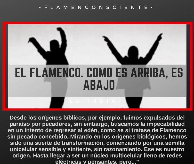 El Flamenco, como es arriba es abajo.